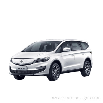 Ruilan Automobile Maple Leaf 80V Geely New Energy Electric Vehicles Car Ternary Lithium New Energy Pure Electric Horsepower Car